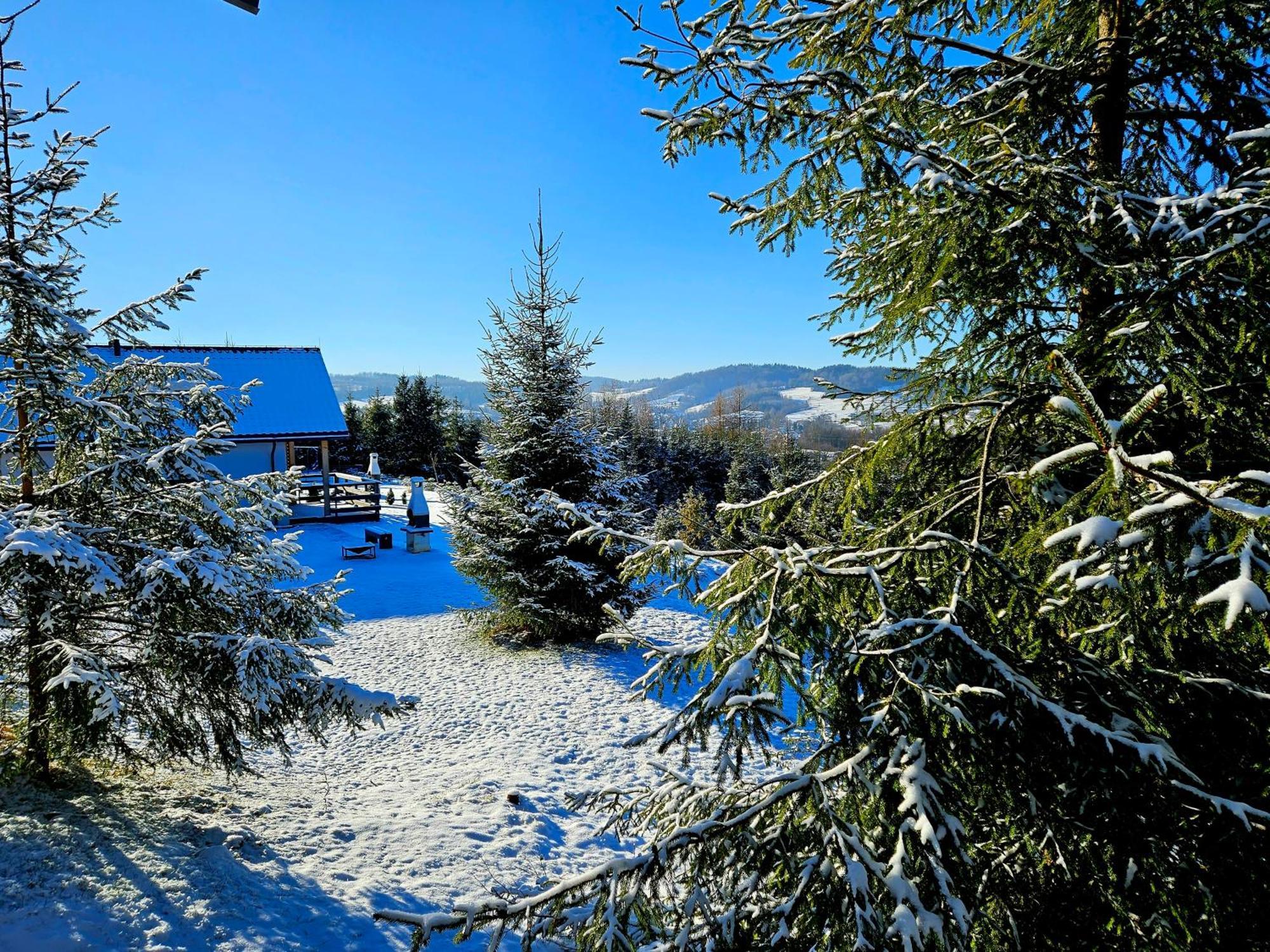 Bieszczadzka Pauza Villa Polanczyk Bagian luar foto