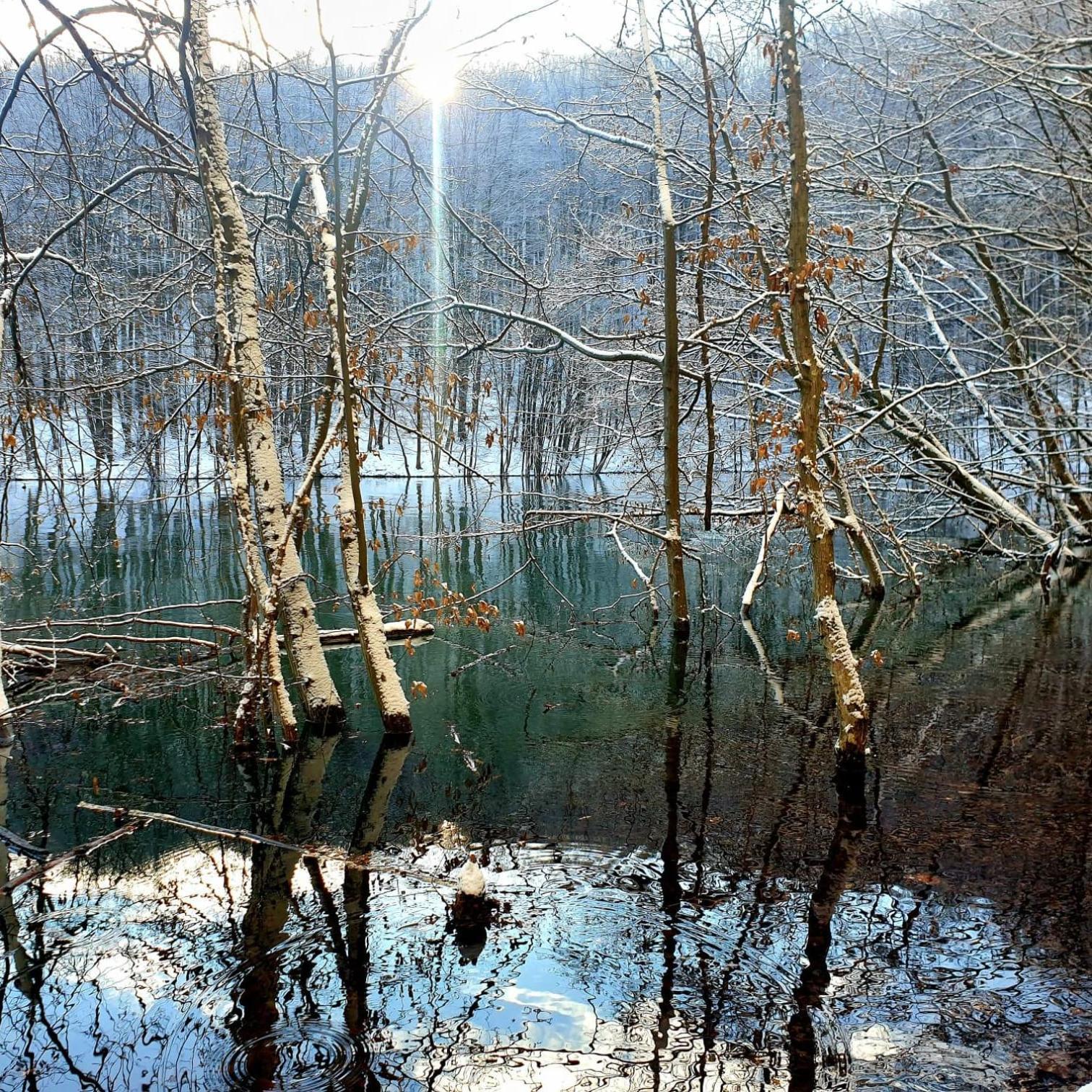 Bieszczadzka Pauza Villa Polanczyk Bagian luar foto