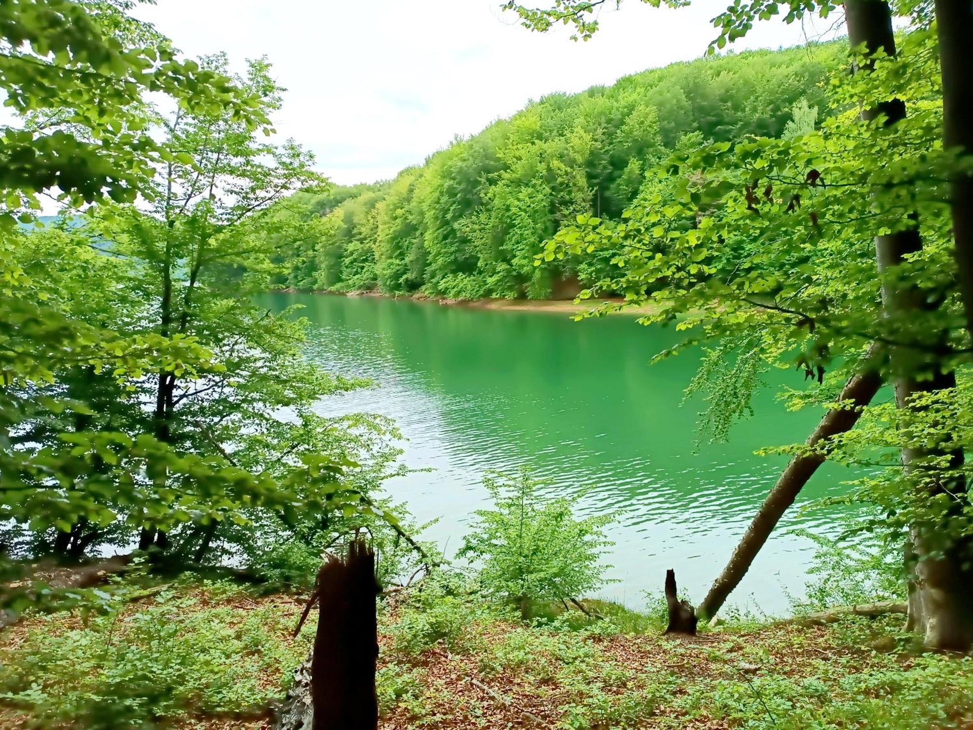 Bieszczadzka Pauza Villa Polanczyk Bagian luar foto